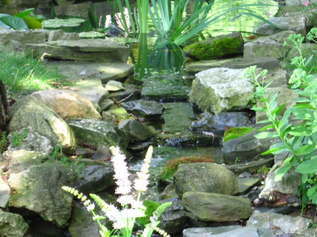 Baldwinsville Bed And Breakfast Luaran gambar