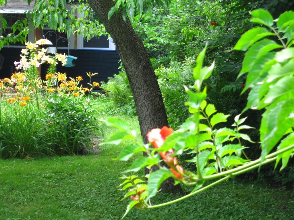 Baldwinsville Bed And Breakfast Luaran gambar