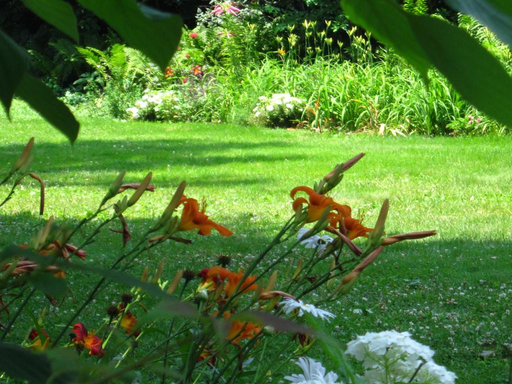Baldwinsville Bed And Breakfast Luaran gambar