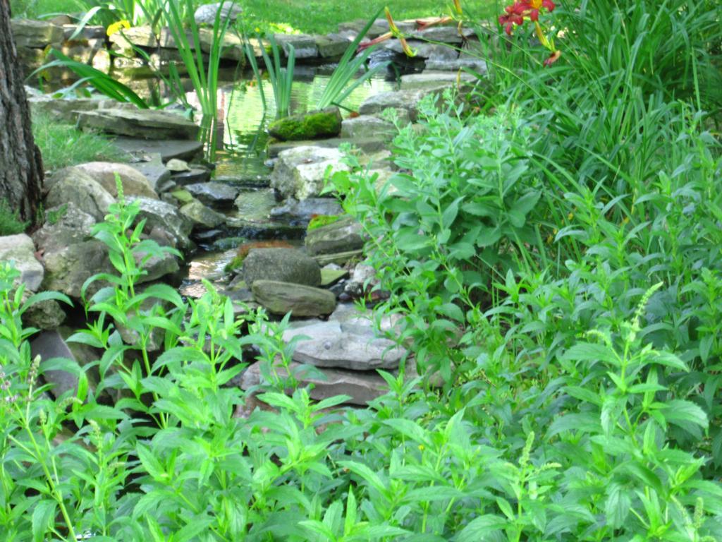 Baldwinsville Bed And Breakfast Luaran gambar